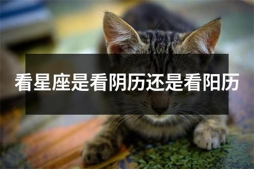 看星座是看阴历还是看阳历