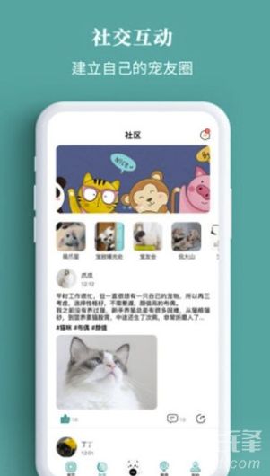 宠+app