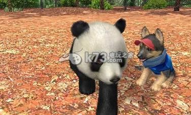宠物乡村3ds下载