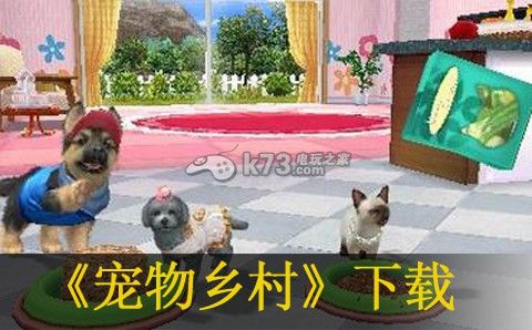 宠物乡村3ds下载