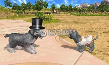 宠物乡村3ds下载