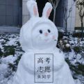 高考志愿鱼同学