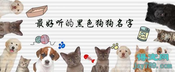 狗取名_尾字初字取名_公狗怎么取名字显得很乖