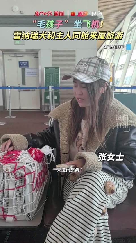 羡慕!女子与宠物犬同乘一班机来厦旅游