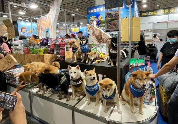 2025台湾宠物用品展览会参展商名录