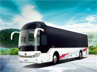 郑州到乐山汽车，航空托运宠物-猫-宠物狗