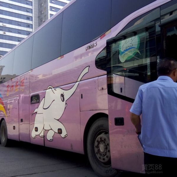 郑州到乐山汽车，航空托运宠物-猫-宠物狗