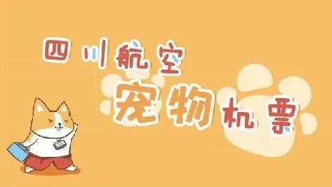 郑州宠物托运,宠友聚集地