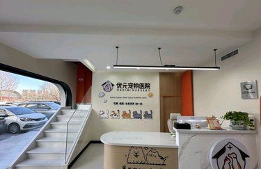 爱宠健康放首位，专业医院来守护