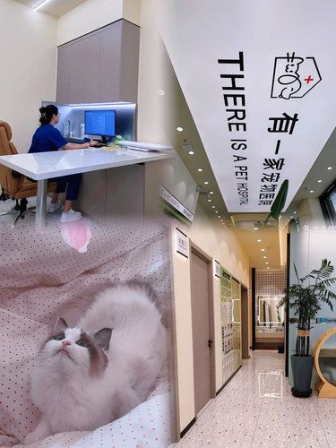 没错❕❕有一家宠物医院叫有一家宠物医院