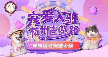 “春节宠爱升温，厦城宠物服务热”