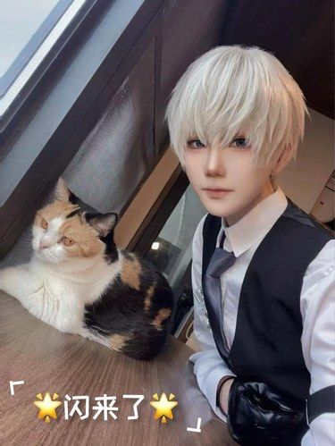 闪到猫小宅