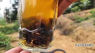 寻找眼镜王蛇-片段2
