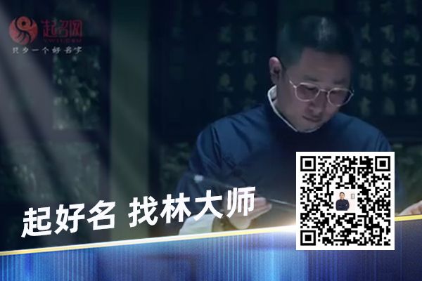 充满阳光和生机的宠物名字