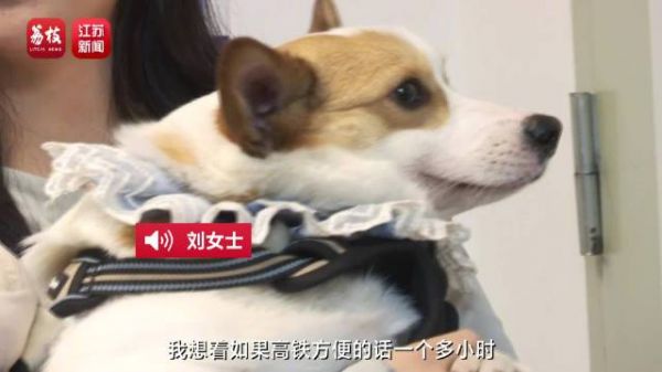 首批宠物托运服务正式发车了