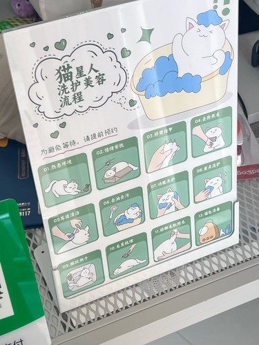 金华猫咪洗护天花板！
