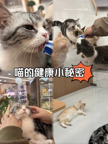 蒸靠谱啊！金华还有这样的宠物店~