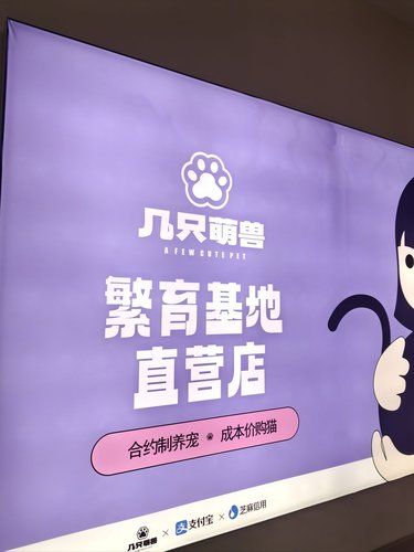 喵星人的心情日记