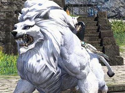 FF14国服当前版本坐骑汇总与出处