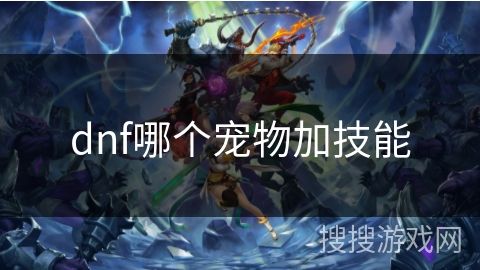 dnf哪个宠物加技能