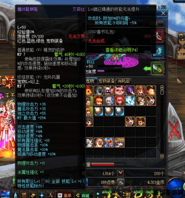 dnf宠物装备 DNF宠物装备全面解析