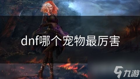 dnf哪个宠物最厉害