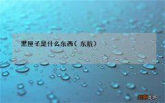 东航 黑匣子是什么东西