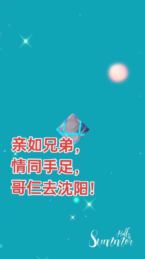 亲如兄弟, 情同手足, 哥仨去沈阳!宠物托运
