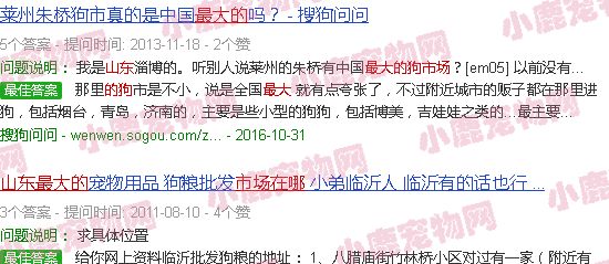 山东最大的狗市场在哪里