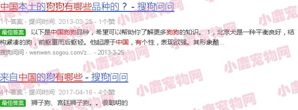 中国有哪些狗市