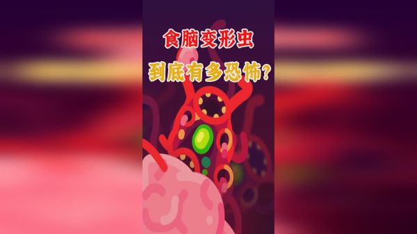 揭秘食脑变形虫“吞食”大脑全过程！