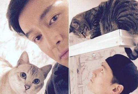 胡歌家里也养了5只猫，想不到成熟稳重的胡歌也被猫咪给俘虏了!