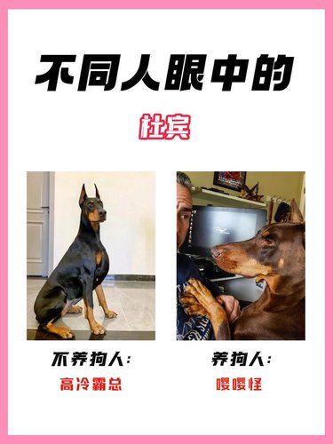 不同人眼中的狗狗大揭秘！