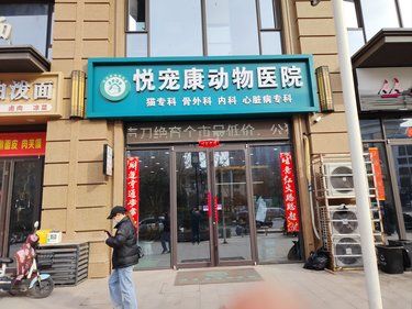 宠物美容小心得