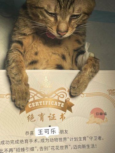 铲屎官看过来⚠️这家宠物医院太贴心了