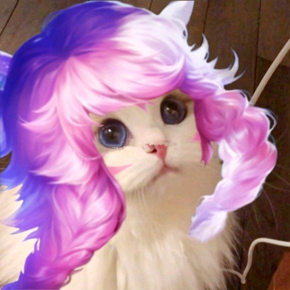 王者荣耀瑶遇见神鹿猫咪头像