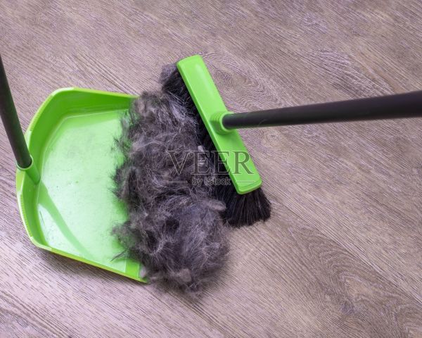 宠物护发。宠物美容的概念。特写清洁堆的宠物毛与刷子和勺子从地板照片摄影图片