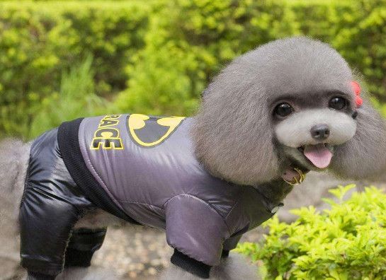 狗狗的衣服怎么做 制作狗狗衣服的方法