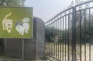 宠物墓地价格透明，如何避免被高价套路？