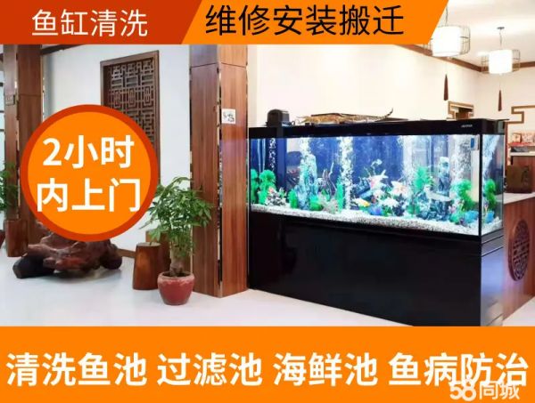 店主头像