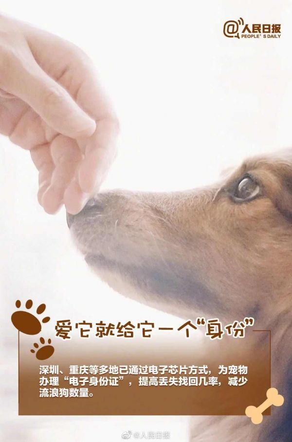 人民日报：如果决定接纳一条生命，就请负责任地陪它一生！ ​