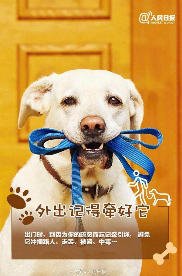 人民日报：如果决定接纳一条生命，就请负责任地陪它一生！ ​