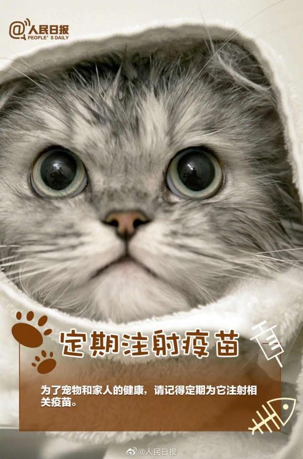 人民日报：如果决定接纳一条生命，就请负责任地陪它一生！ ​