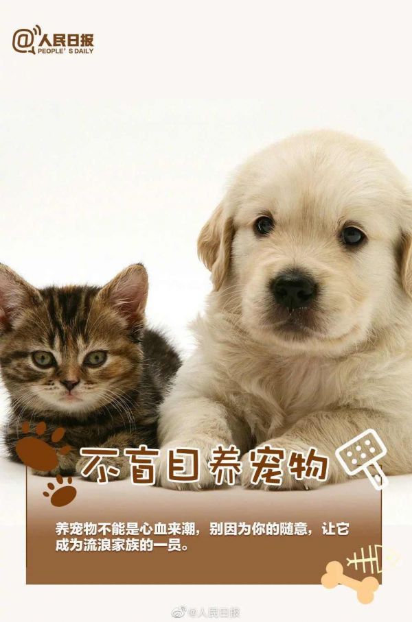 人民日报：如果决定接纳一条生命，就请负责任地陪它一生！ ​