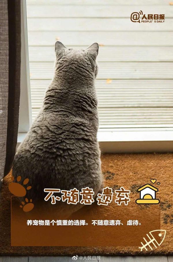 人民日报：如果决定接纳一条生命，就请负责任地陪它一生！ ​