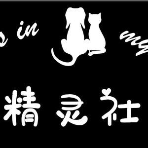 精灵社宠物送别服务头像