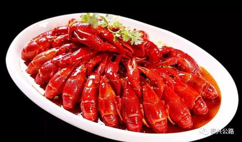 宠物饮食：小龙虾对狗安全吗？