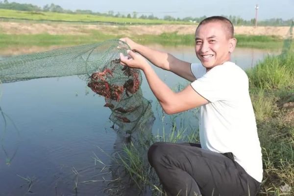 养小龙虾怎么养殖？注意养殖小龙虾的四个技巧，小龙虾致富未来可期