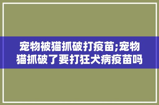 宠物被猫抓破打疫苗;宠物猫抓破了要打狂犬病疫苗吗