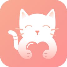 宠宝